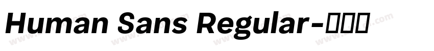 Human Sans Regular字体转换 Human Sans Regular字体转换